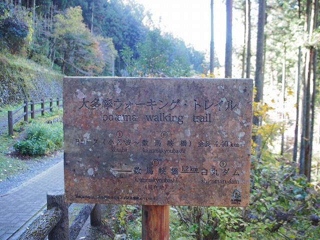 f:id:ikashiya:20171115232220j:plain