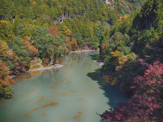 f:id:ikashiya:20171116085718j:plain