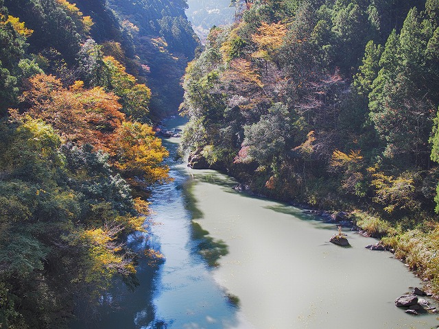 f:id:ikashiya:20171116085725j:plain