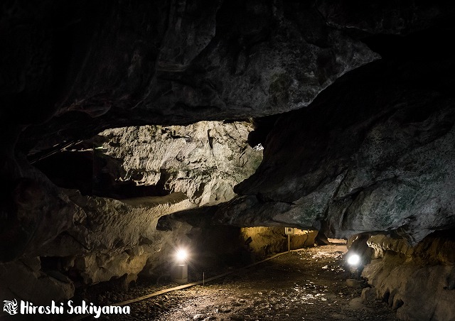 f:id:ikashiya:20180212210316j:plain