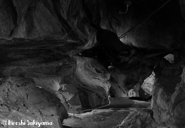 f:id:ikashiya:20180212210328j:plain