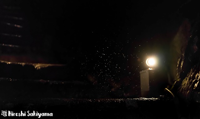 f:id:ikashiya:20180212210345j:plain