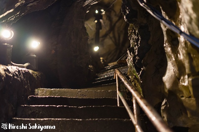 f:id:ikashiya:20180212210349j:plain