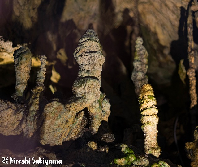 f:id:ikashiya:20180212210356j:plain