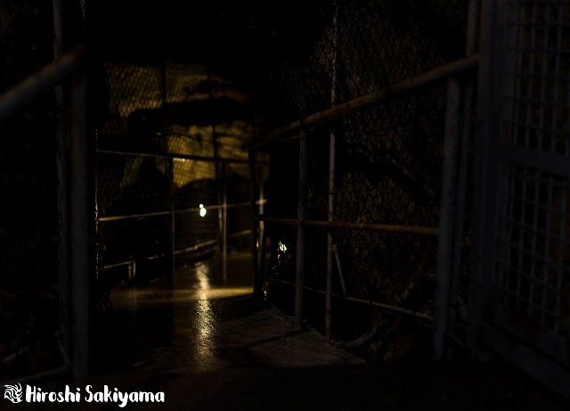 f:id:ikashiya:20180212210357j:plain