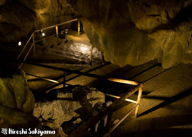 f:id:ikashiya:20180212210359j:plain