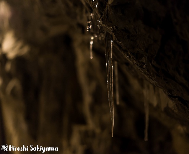 f:id:ikashiya:20180212210406j:plain