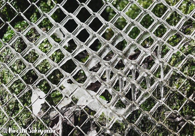 f:id:ikashiya:20180212210411j:plain