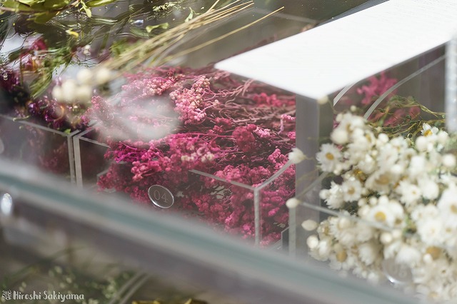 ドライフラワーが並んでいる様子2