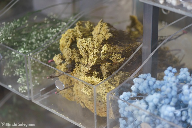 ドライフラワーが並んでいる様子