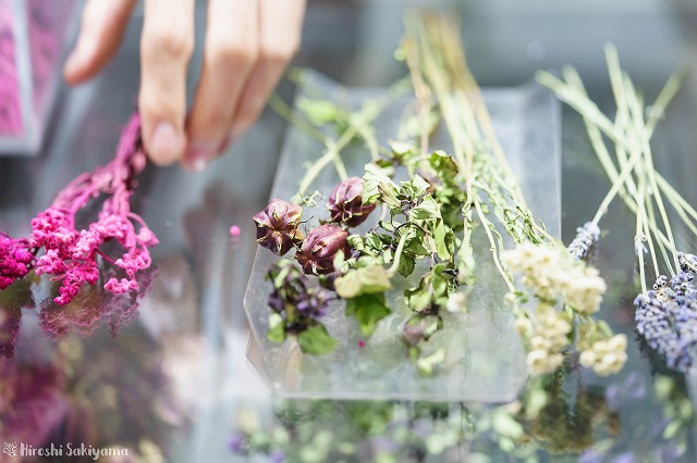 花をセレクトしている様子