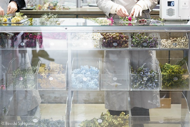 花を選んでいる様子