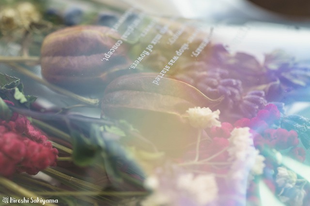 パックされたドライフラワー3