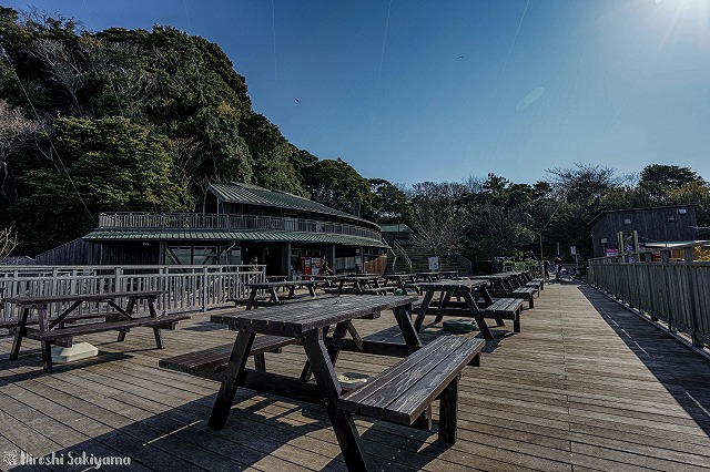 f:id:ikashiya:20180319204606j:plain f:id:ikashiya:20180319204606j:plain