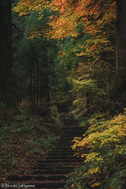 f:id:ikashiya:20181112235326j:plain