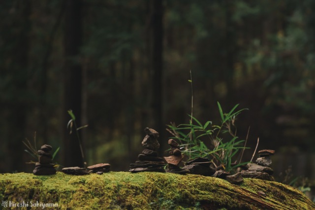 f:id:ikashiya:20181112235330j:plain