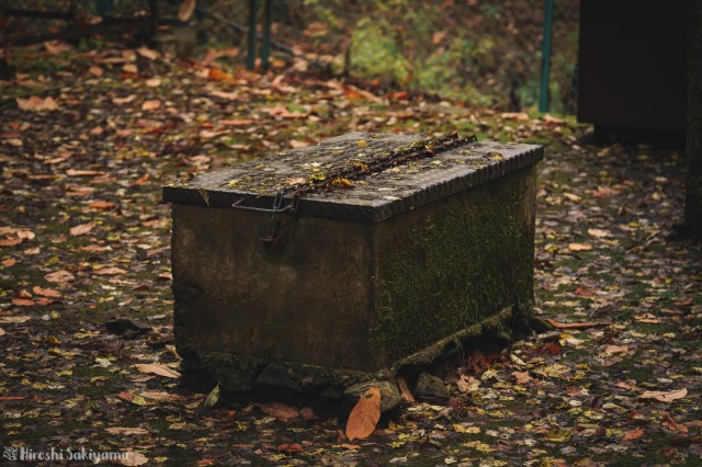 f:id:ikashiya:20181112235334j:plain