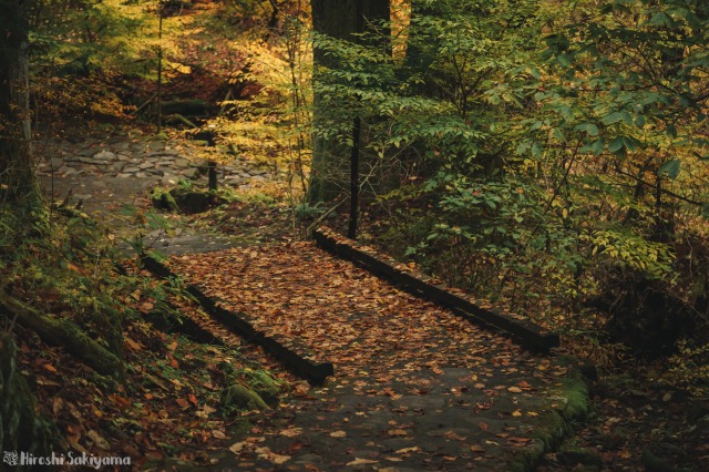 f:id:ikashiya:20181112235336j:plain