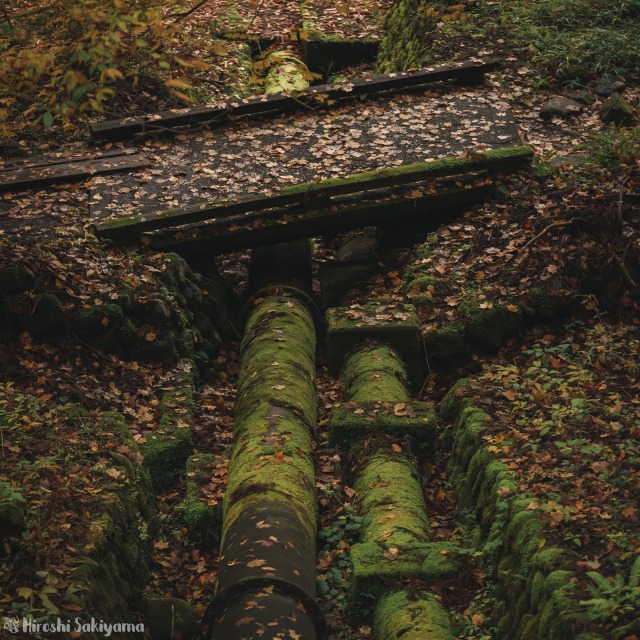 f:id:ikashiya:20181112235339j:plain