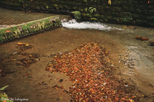 f:id:ikashiya:20181112235346j:plain