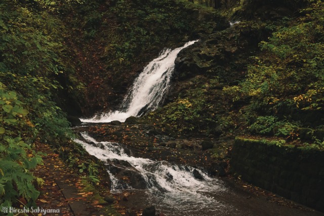 f:id:ikashiya:20181112235352j:plain