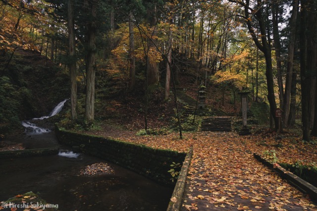 f:id:ikashiya:20181112235353j:plain