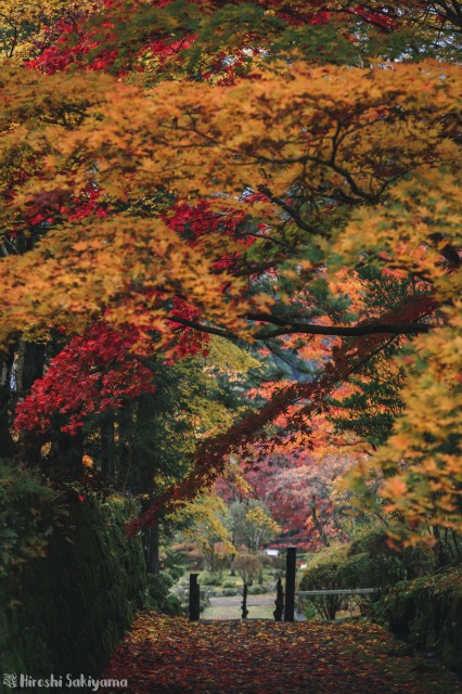 f:id:ikashiya:20181112235405j:plain f:id:ikashiya:20181112235405j:plain
