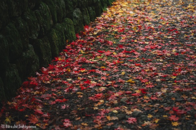 f:id:ikashiya:20181112235407j:plain