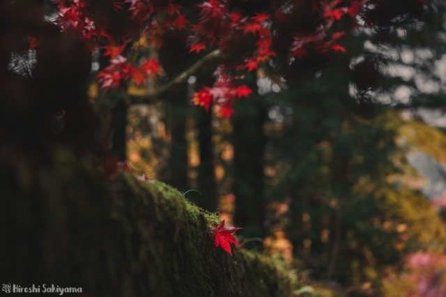 f:id:ikashiya:20181112235408j:plain