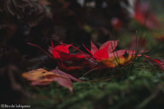 f:id:ikashiya:20181112235411j:plain