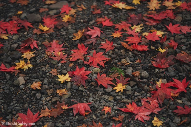 f:id:ikashiya:20181112235412j:plain