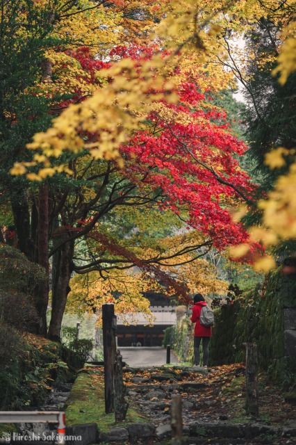 f:id:ikashiya:20181112235413j:plain