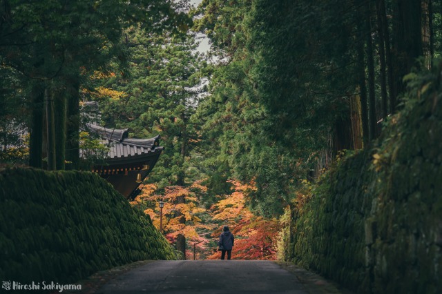 f:id:ikashiya:20181112235415j:plain