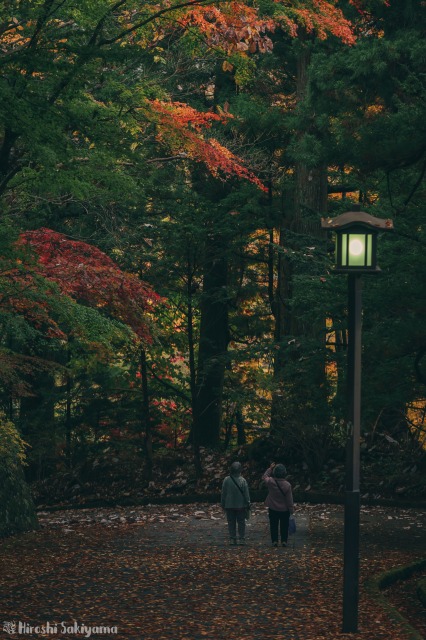 f:id:ikashiya:20181112235416j:plain