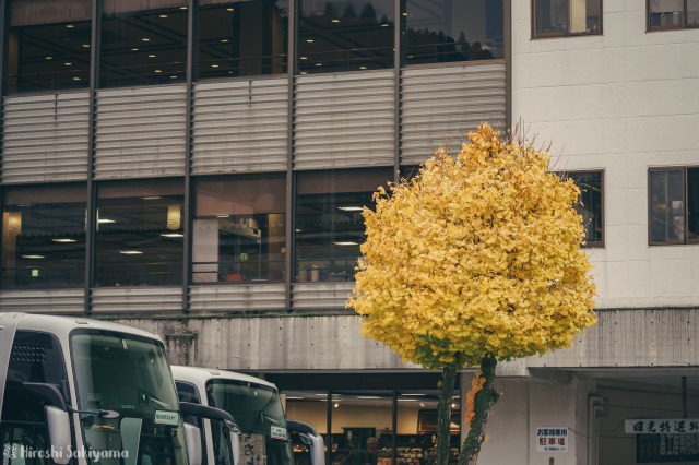 f:id:ikashiya:20181112235420j:plain