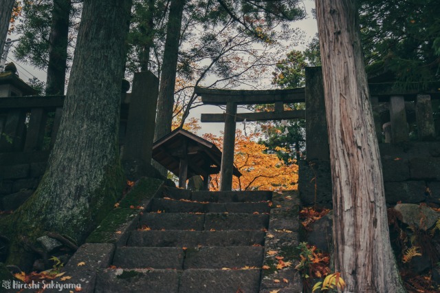 f:id:ikashiya:20181112235421j:plain