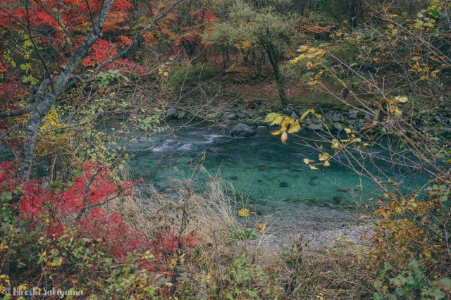 f:id:ikashiya:20181112235422j:plain