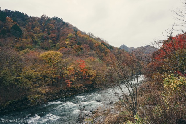 f:id:ikashiya:20181112235423j:plain