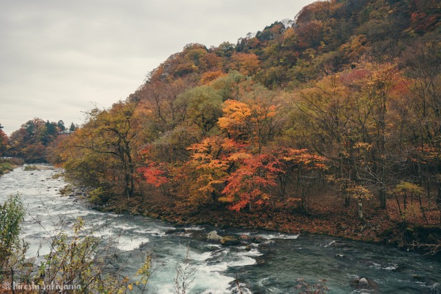 f:id:ikashiya:20181112235424j:plain