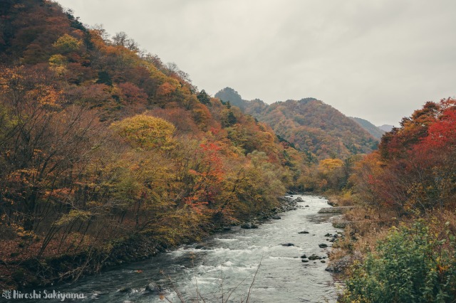 f:id:ikashiya:20181112235425j:plain