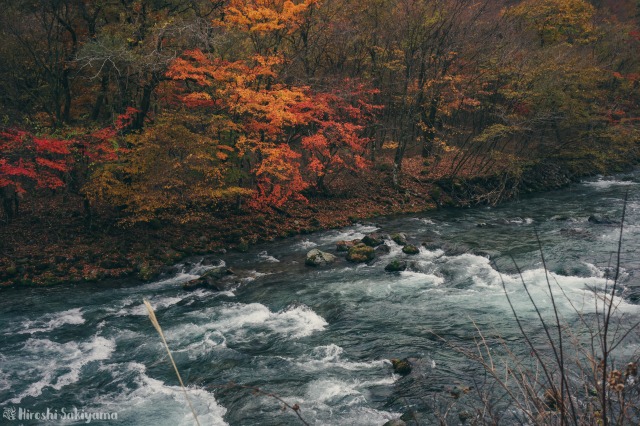 f:id:ikashiya:20181112235426j:plain