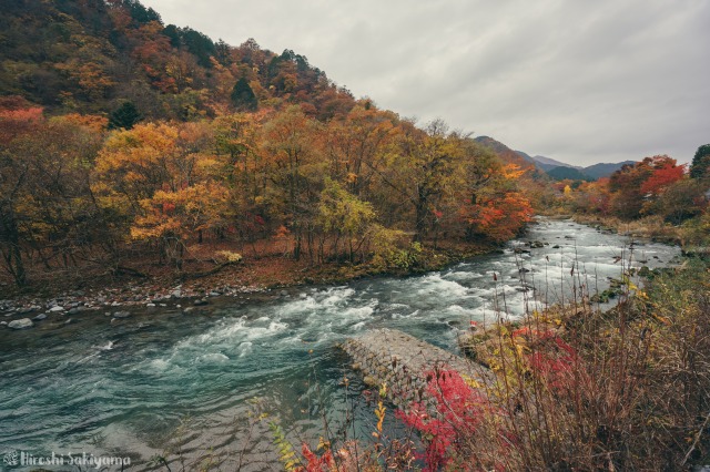 f:id:ikashiya:20181112235429j:plain