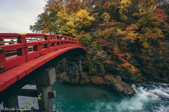 f:id:ikashiya:20181112235432j:plain