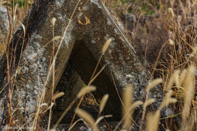 f:id:ikashiya:20190109190820j:plain