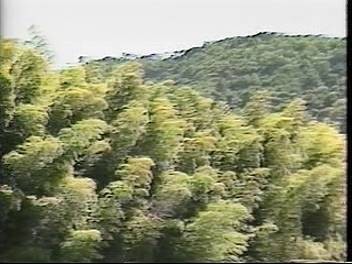 f:id:ikasuke:20180408210650j:image