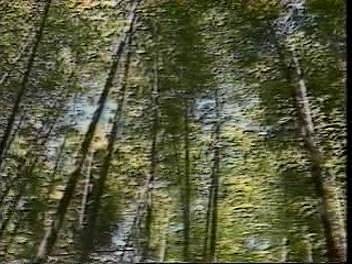 f:id:ikasuke:20180408210651j:image