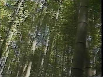 f:id:ikasuke:20180408210723j:image