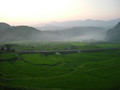 [棚田][島根県]