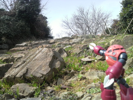 f:id:ikasumi:20090311205826j:image