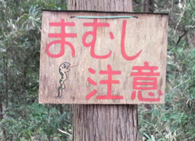 f:id:ikasumi:20090323145737j:image